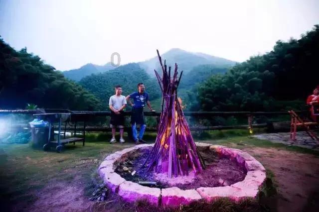 我是双子座的 和金牛座配吗? | 知识星球平台